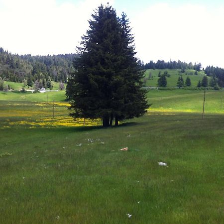Hotel Coop Rozhen Pamporovo Kültér fotó